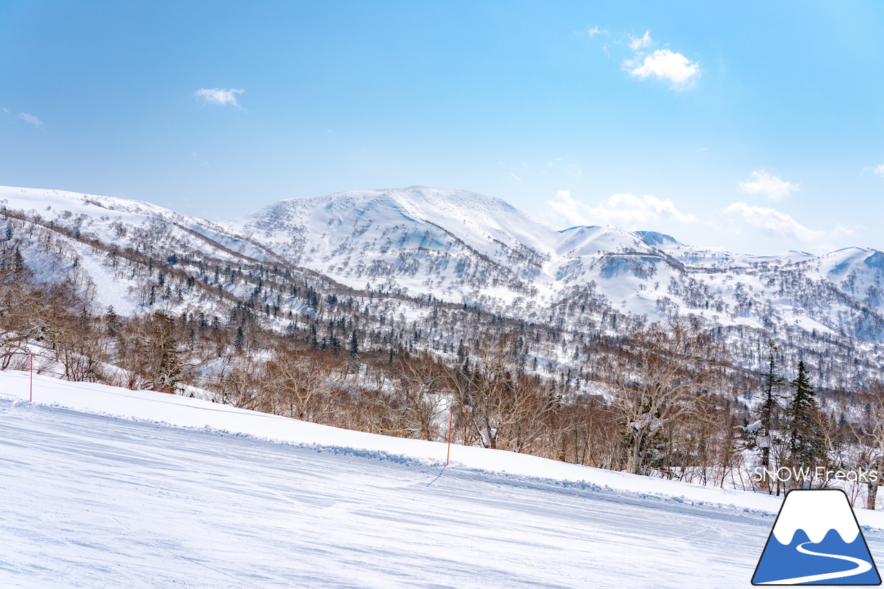 キロロリゾート｜まだまだ山頂は積雪４ｍ超！楽しい春スキー＆スノーボードシーズン到来です(^^)v